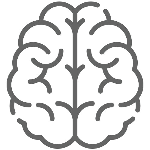 Memory Support