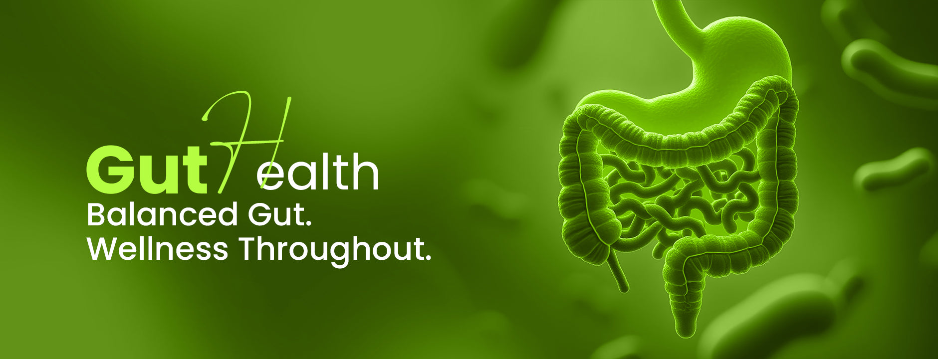 Gut Health Banner