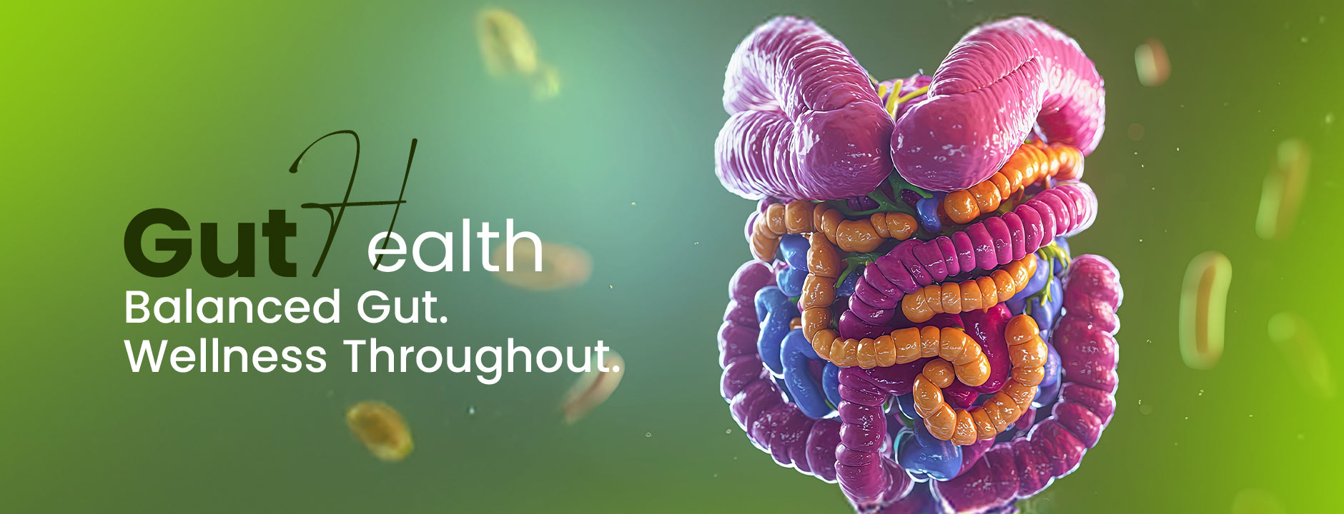 Gut Health Banner