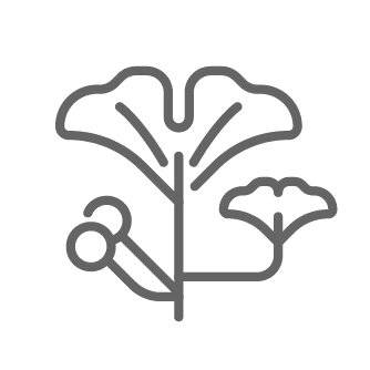 Cognitive Support