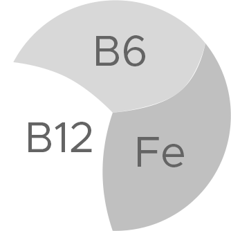 B6, B12 & Iron 