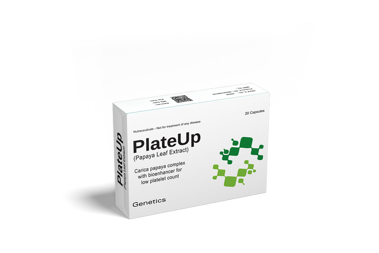 PlateUp